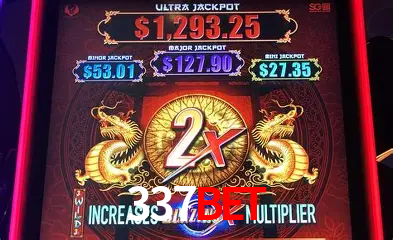 A Experiência Imersiva dos Cassinos Ao Vivo no 337bet